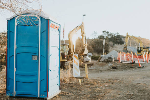 Best Porta potty rental for festivals  in Lexington, MI